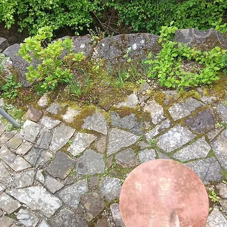 Lopes Weilheim an der Teck